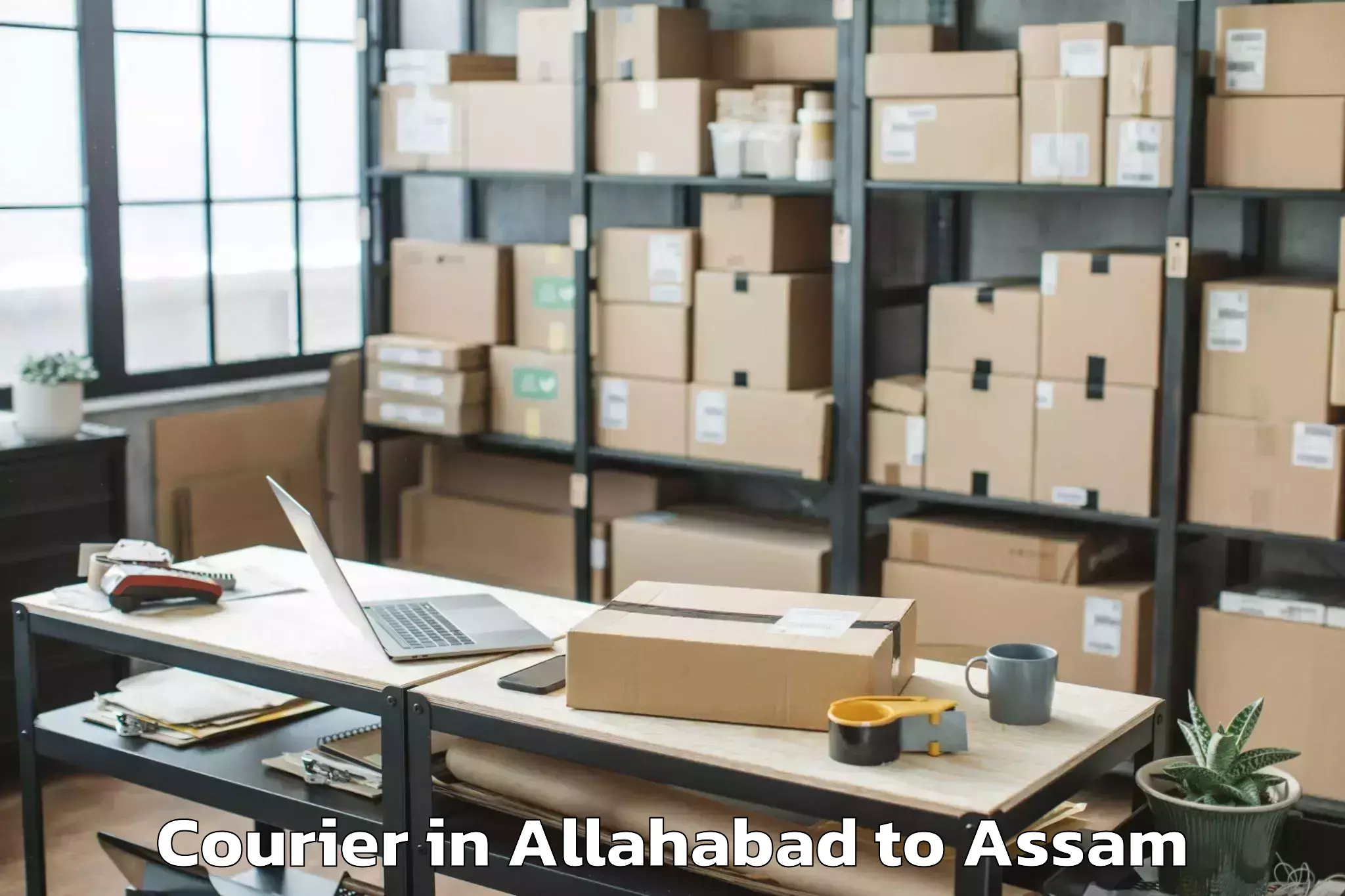 Easy Allahabad to Dibrugarh University Courier Booking